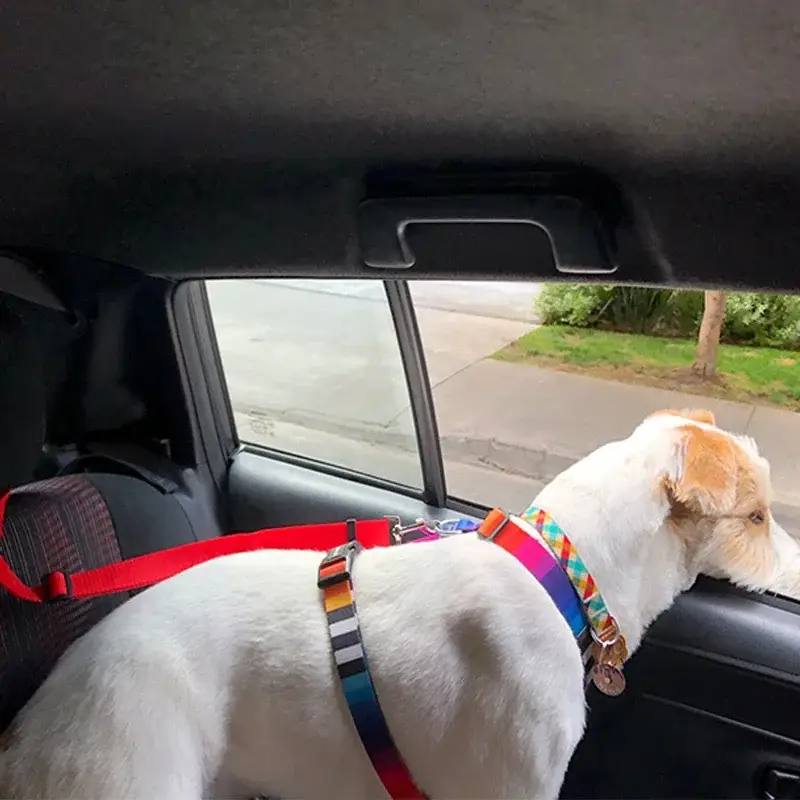 GIFYauto™ Car Seat Belt For Pets